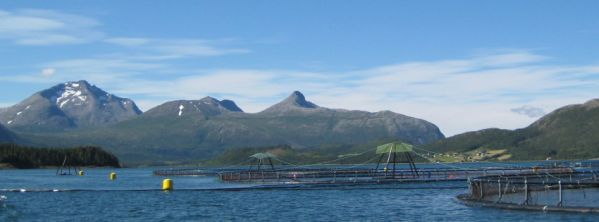 Foto van de berg Heilhornet gezien vanaf de zalmkwekerij op Øksninga in Noorwegen