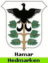 Plaatje van gemeentewapen Hamar