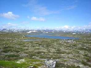 Foto van Hardangervidda in Noorwegen