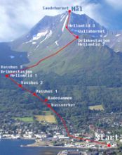 Foto van de berg Saudehornet met bergrun in Noorwegen