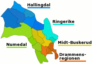 Plaatje van kaartje met districten in provincie Buskerud in Noorwegen